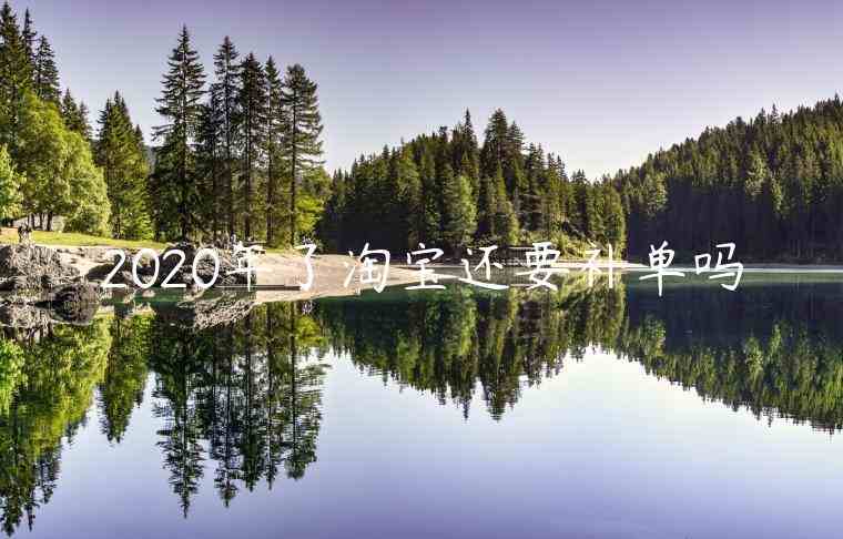 2023年了淘寶還要補(bǔ)單嗎